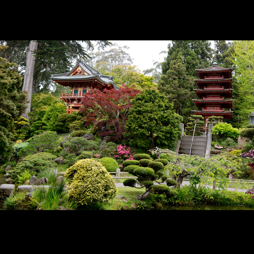 The Japanese Tea Garden